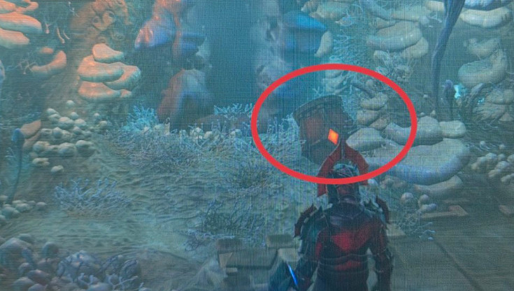 《霧鎖王國》派克米德壁壘獲得方法 《霧鎖王國》派克米德壁壘獲得方法