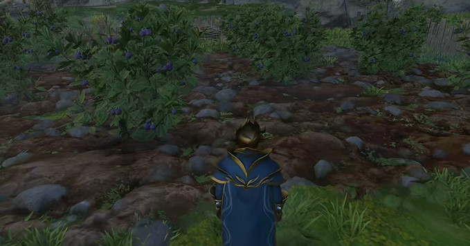 《霧鎖王國》紫色漿果獲得方法 《霧鎖王國》紫色漿果獲得方法