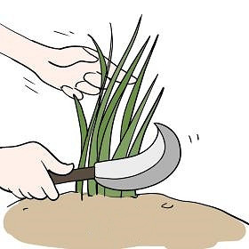 史上涼的最快的遊戲？還沒開服就宣布關服！