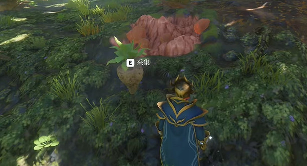 《霧鎖王國》森林甜菜獲得方法 《霧鎖王國》森林甜菜獲得方法