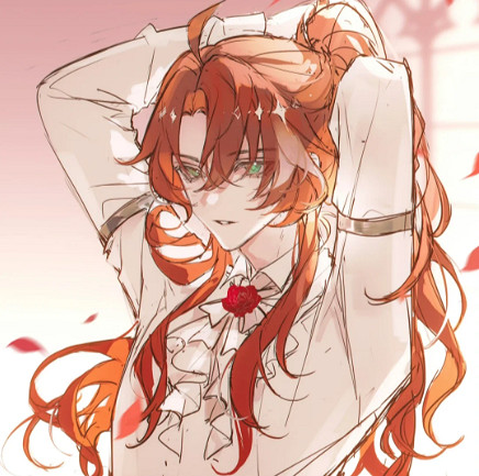 崩壞星穹鐵道銀枝頭像大全