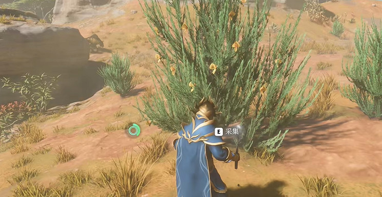 《霧鎖王國》博士樹茶獲取方法 《霧鎖王國》博士樹茶獲取方法