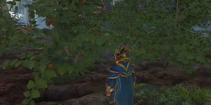 《霧鎖王國》榛子獲取方法 《霧鎖王國》榛子獲取方法