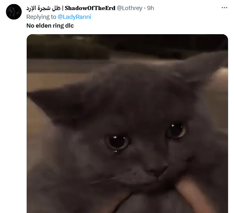 索尼遊戲發布會仍無《艾爾登法環》DLC消息！粉絲癲狂哀嚎