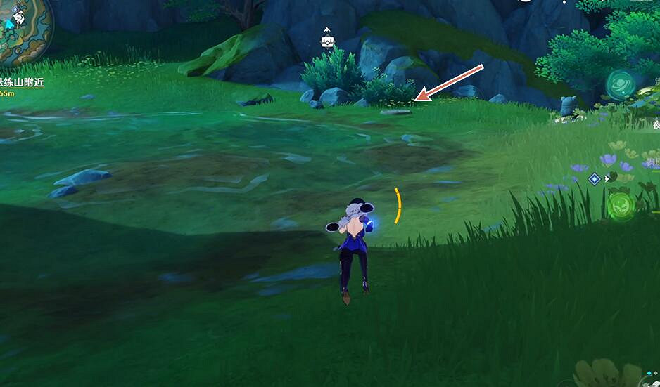 《原神》4.4仙人遊莊世界任務攻略 《原神》4.4仙人遊莊世界任務攻略