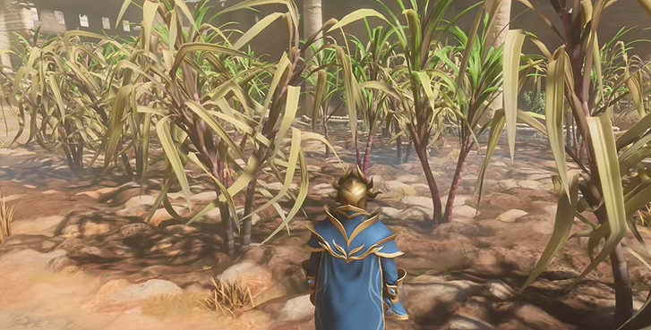 《霧鎖王國》甘蔗獲取方法 《霧鎖王國》甘蔗獲取方法