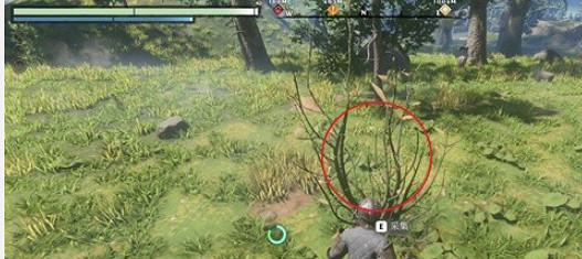 《霧鎖王國》瘴氣木材獲得方法 《霧鎖王國》瘴氣木材獲得方法
