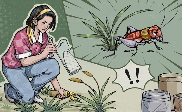 《沉默的蟋蟀》異蟲資料片dlc內容介紹 《沉默的蟋蟀》異蟲資料片dlc內容介紹