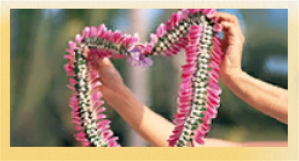 《人中之龍8》夏威夷測驗2級攻略 《人中之龍8》夏威夷測驗2級攻略