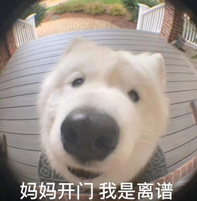 踢假球買裁判,逆天的“非法”足球遊戲這樣玩? 踢假球買裁判,逆天的“非法”足球遊戲這樣玩?