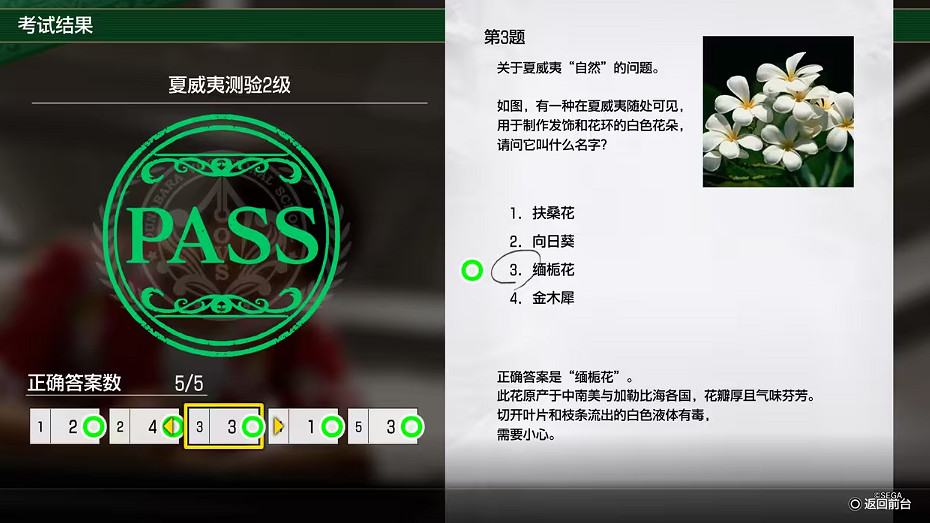 《人中之龍8》大海原考核答案一覽 《人中之龍8》大海原考核答案一覽