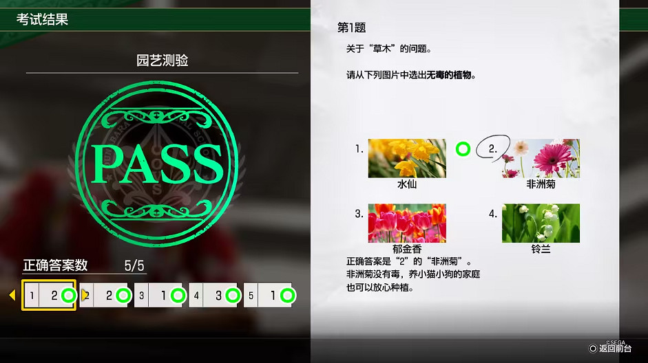 《人中之龍8》大海原考核答案一覽 《人中之龍8》大海原考核答案一覽