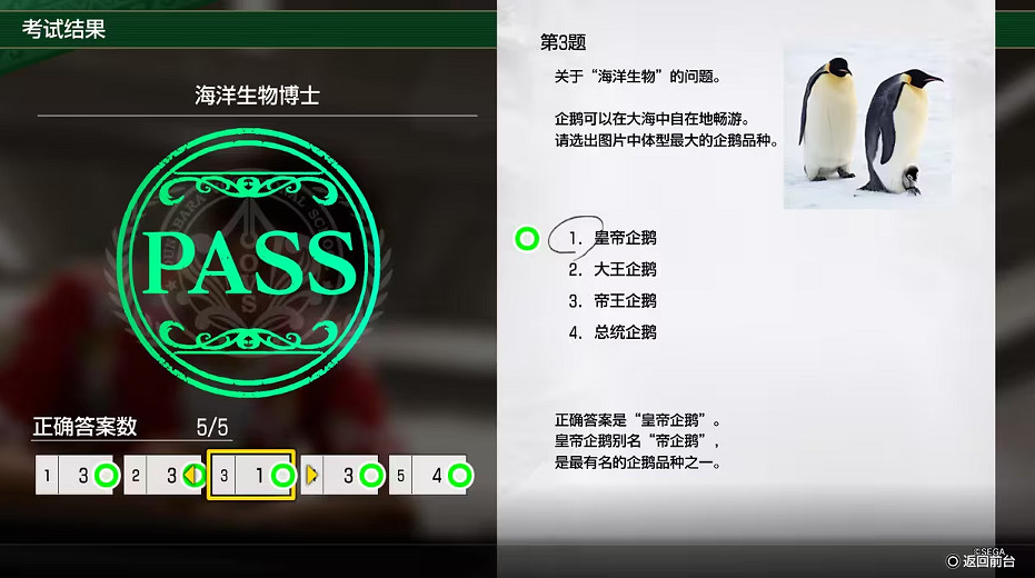 《人中之龍8》大海原考核答案一覽 《人中之龍8》大海原考核答案一覽