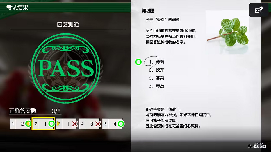 《人中之龍8》大海原考核答案一覽 《人中之龍8》大海原考核答案一覽