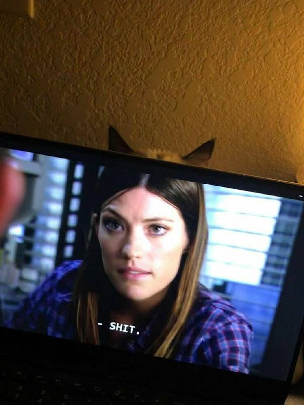 我就說霍格華茲是真的吧 囧圖 這就是社交恐怖分子吧