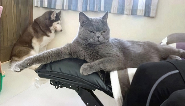 我就說霍格華茲是真的吧 囧圖 這就是社交恐怖分子吧