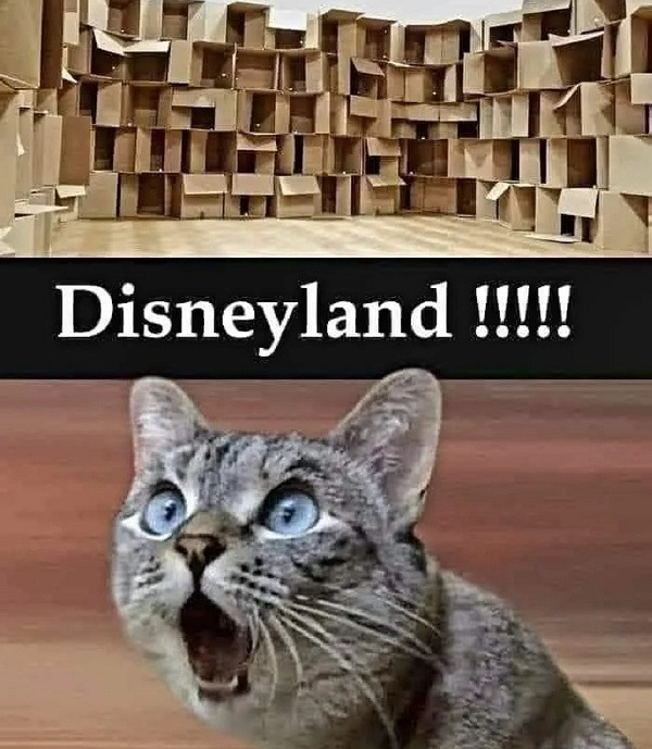 我就說霍格華茲是真的吧 囧圖 這就是社交恐怖分子吧