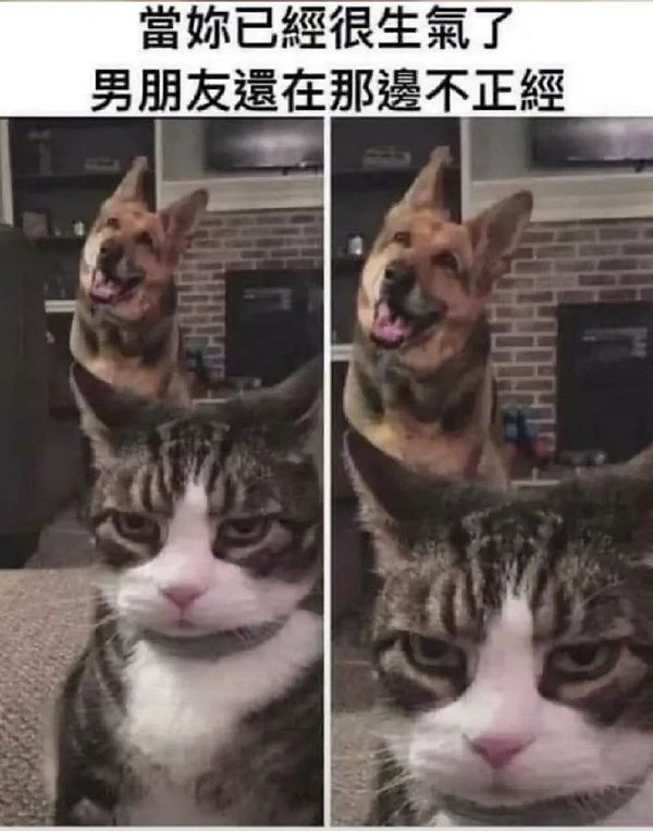 我就說霍格華茲是真的吧 囧圖 這就是社交恐怖分子吧