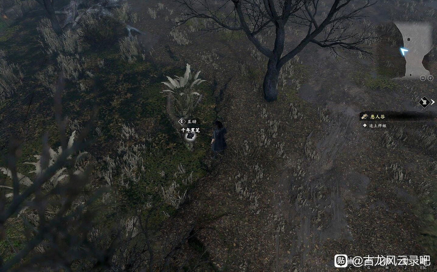 《古龍風雲錄》序章全收集攻略 《古龍風雲錄》序章全收集攻略