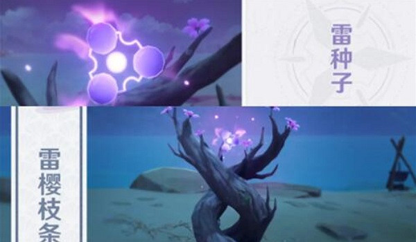《原神》雷種子等級不夠升級方法