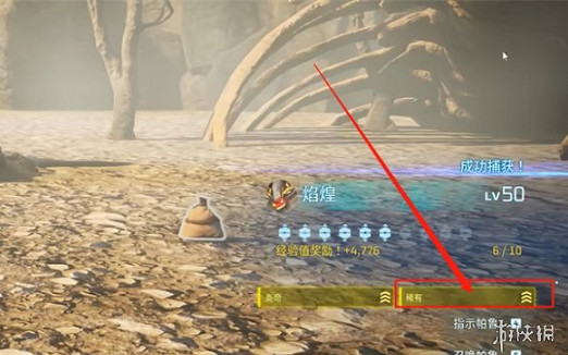 《幻獸帕魯》閃光概率介紹