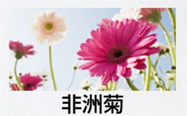 《人中之龍8》園藝測驗答題攻略 《人中之龍8》園藝測驗答題攻略