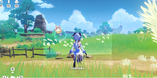 《原神》稻妻特色動物一覽