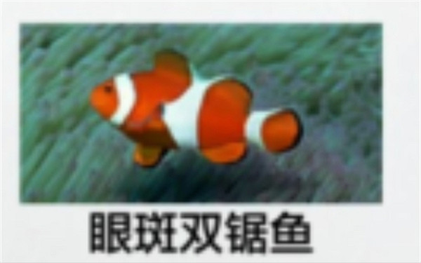 《人中之龍8》海洋生物博士答題攻略 《人中之龍8》海洋生物博士答題攻略