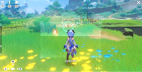 《原神》稻妻特色動物一覽