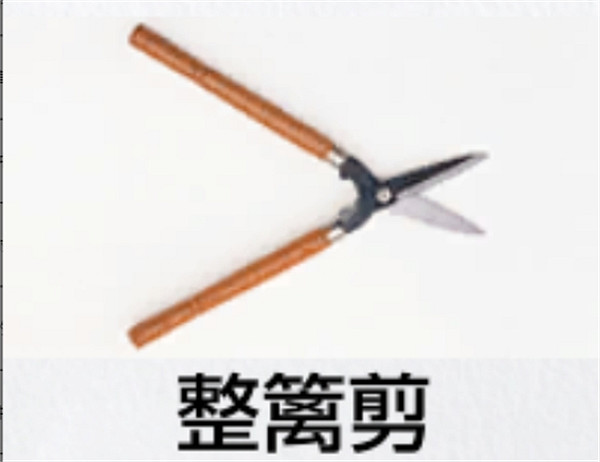 《人中之龍8》園藝測驗答題攻略 《人中之龍8》園藝測驗答題攻略