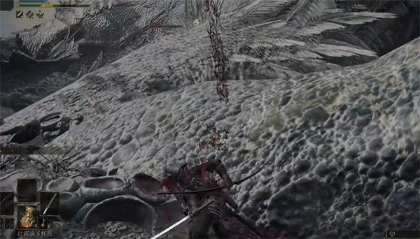 《艾爾登法環》打龍時間推薦 《艾爾登法環》打龍時間推薦