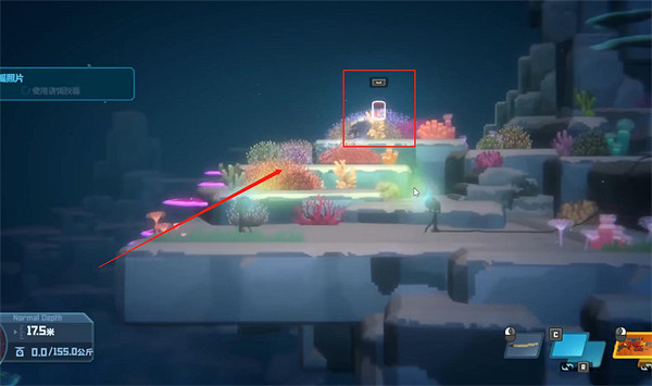 《潛水員戴夫》拍鬼蝠鱝照片方法