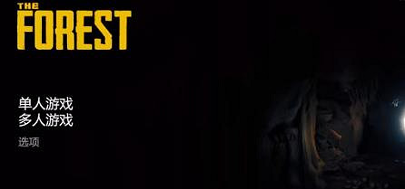 《森林之子》程式碼開啟方法 《森林之子》程式碼開啟方法