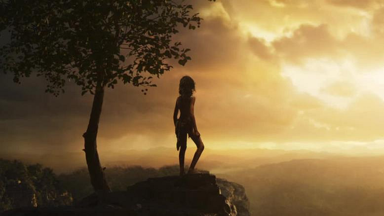 《森林之子》程式碼大全一覽