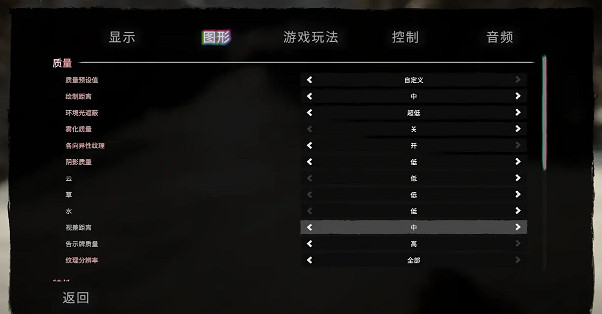 《森林之子》畫面設定分享 《森林之子》畫面設定分享