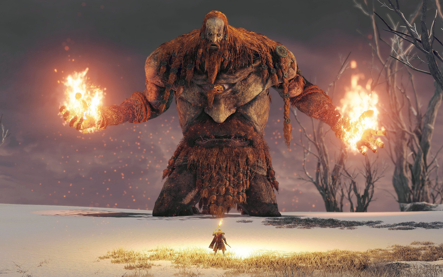 宮崎英高：沒特意讓遊戲的某部分或者角色變得有趣