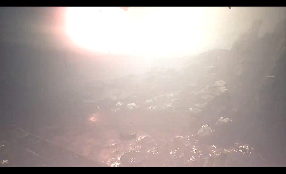 《閃耀:詛咒》宣傳預告公布:2024年春季登陸PS5平台 《閃耀:詛咒》宣傳預告公布:2024年春季登陸PS5平台