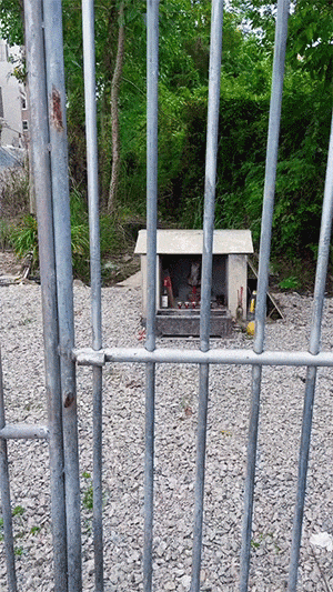 在地鐵上脫鞋鞋被踢下車 動圖 小貓把男子當媽狂吸奶