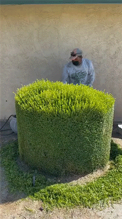 在地鐵上脫鞋鞋被踢下車 動圖 小貓把男子當媽狂吸奶