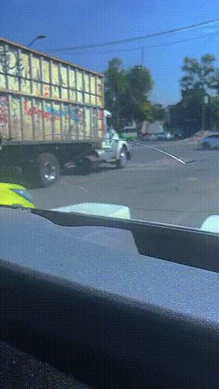 在地鐵上脫鞋鞋被踢下車 動圖 小貓把男子當媽狂吸奶