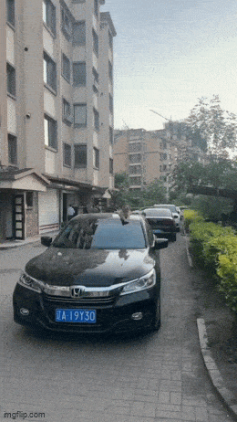 在地鐵上脫鞋鞋被踢下車 動圖 小貓把男子當媽狂吸奶