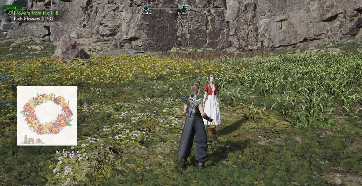 《最終幻想7重生》山丘上綻放的花在哪？