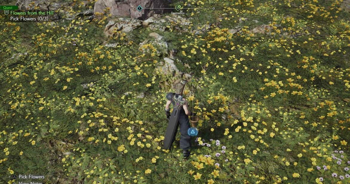 《最終幻想7重生》山丘上綻放的花在哪？