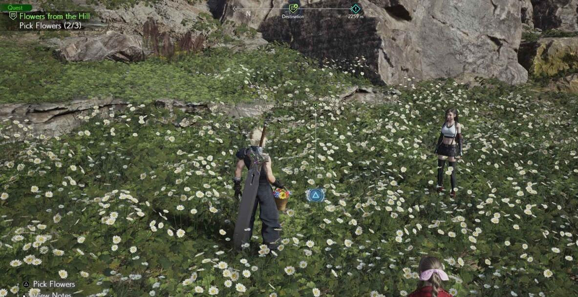 《最終幻想7重生》山丘上綻放的花在哪？