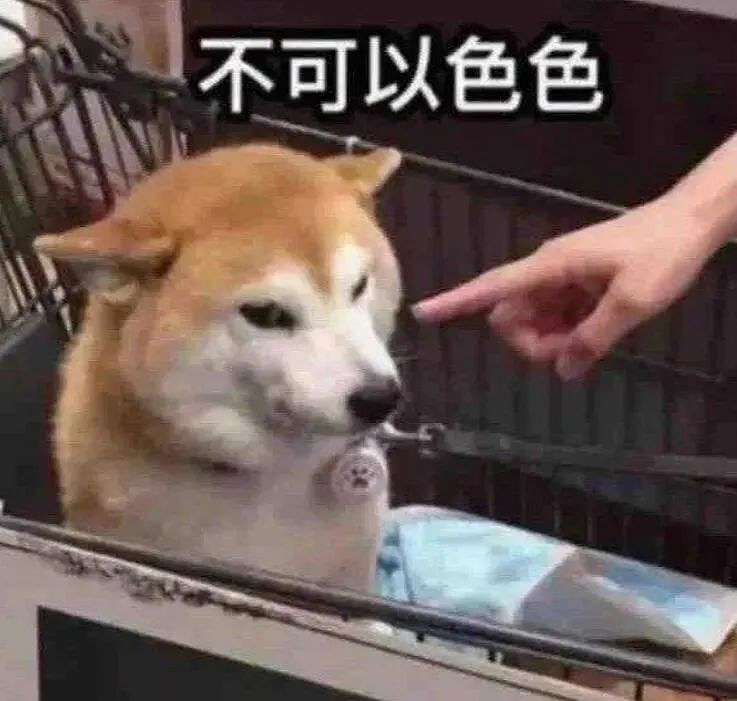 誰能拒絕一個泳裝的蒂法呢？