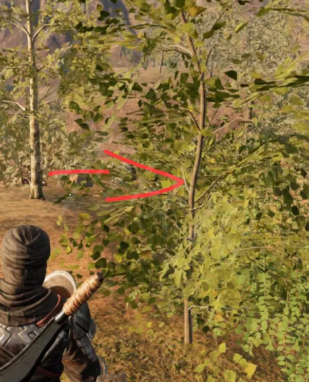 《帝國神話》桑葉在哪?桑葉獲取方法介紹 《帝國神話》桑葉在哪?桑葉獲取方法介紹