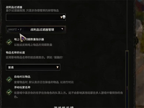 《最後紀元》過濾器導入方法