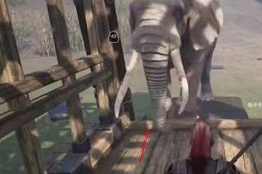 《帝國神話》大象馴服方法