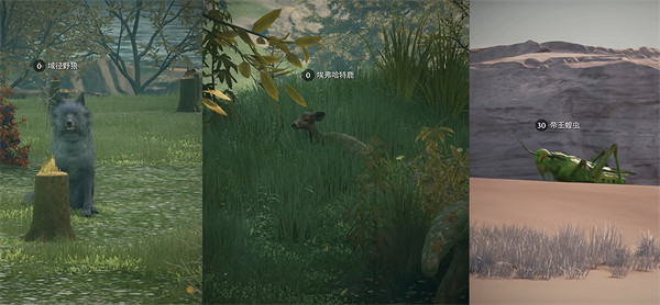 《夜鶯傳說》前期最強料理介紹 《夜鶯傳說》前期最強料理介紹