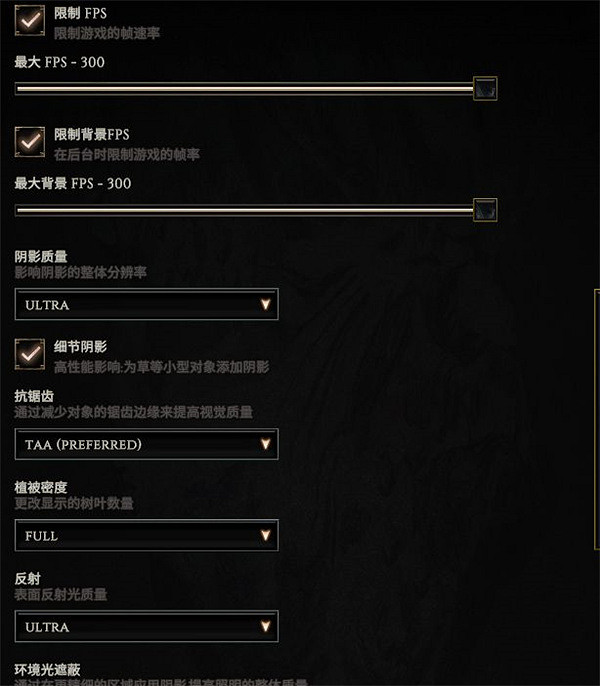 《最後紀元》畫面糊解決方法 《最後紀元》畫面糊解決方法